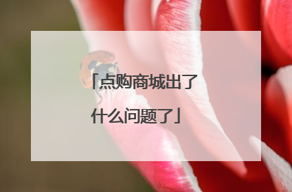 点购商城出了什么问题了