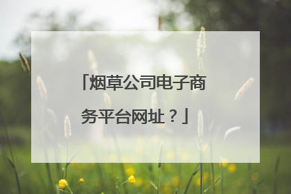 烟草公司电子商务平台网址?