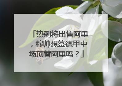 热刺将出售阿里,穆帅想签德甲中场顶替阿里吗?