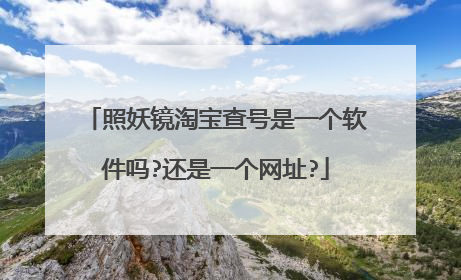 照妖镜淘宝查号是一个软件吗?还是一个网址?