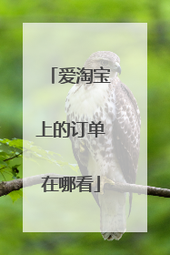 爱淘宝上的订单在哪看