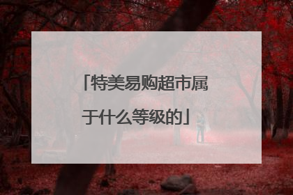 特美易购超市属于什么等级的