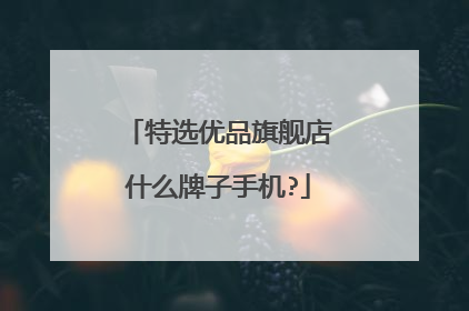 特选优品旗舰店什么牌子手机?