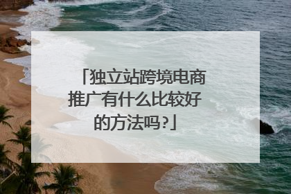 独立站跨境电商推广有什么比较好的方法吗?