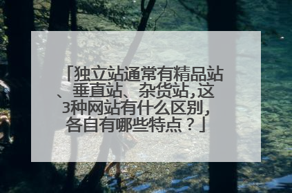 独立站通常有精品站、垂直站、杂货站,这3种网站有什么区别,各自有哪些特点?