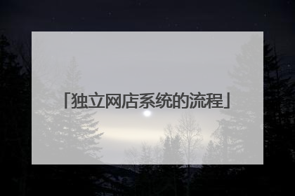 独立网店系统的流程