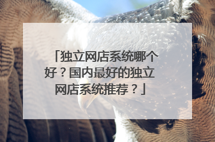 独立网店系统哪个好?国内最好的独立网店系统推荐?