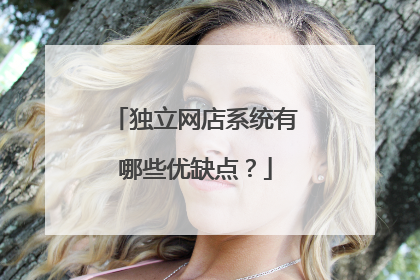 独立网店系统有哪些优缺点?