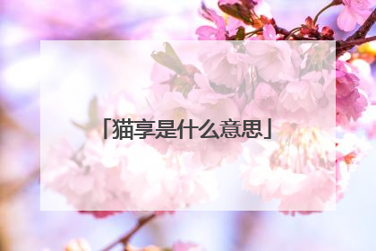 猫享是什么意思