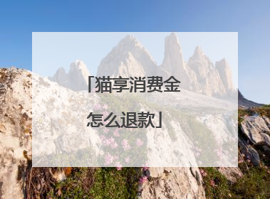 猫享消费金怎么退款