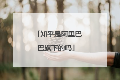 知乎是阿里巴巴旗下的吗