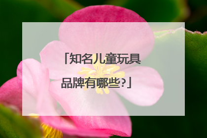 知名儿童玩具品牌有哪些?