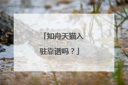 知舟天猫入驻靠谱吗?