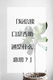 短信接口是否助通是什么意思?