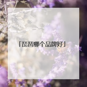 琵琶哪个品牌好