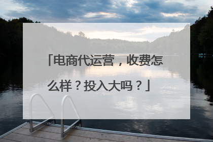 电商代运营,收费怎么样?投入大吗?
