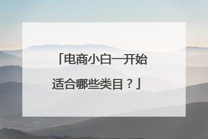 电商小白一开始适合哪些类目?