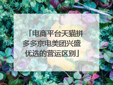 电商平台天猫拼多多京电美团兴盛优选的营运区别