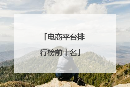 电商平台排行榜前十名