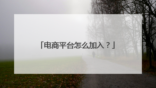 电商平台怎么加入?
