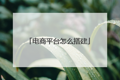 电商平台怎么搭建