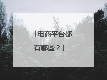 电商平台都有哪些?