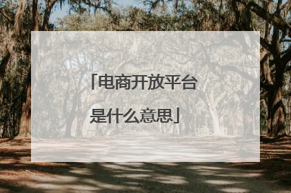 电商开放平台是什么意思