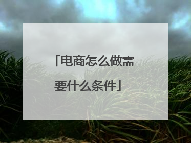 电商怎么做需要什么条件