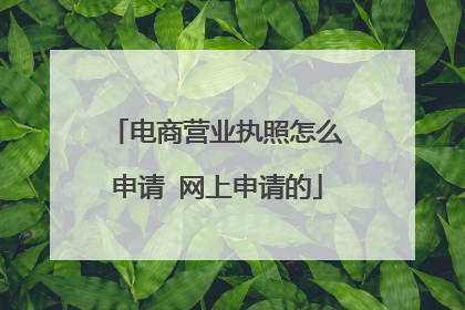 电商营业执照怎么申请 网上申请的