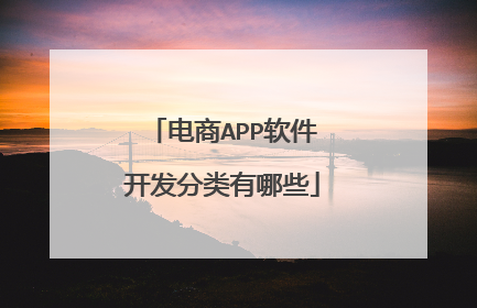 电商APP软件开发分类有哪些