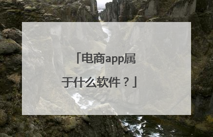 电商app属于什么软件?