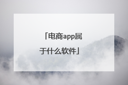 电商app属于什么软件
