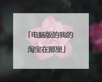 电脑版的我的淘宝在那里