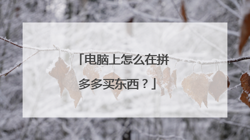 电脑上怎么在拼多多买东西?
