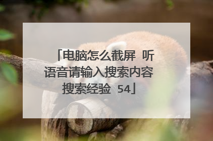 电脑怎么截屏 听语音请输入搜索内容搜索经验 54