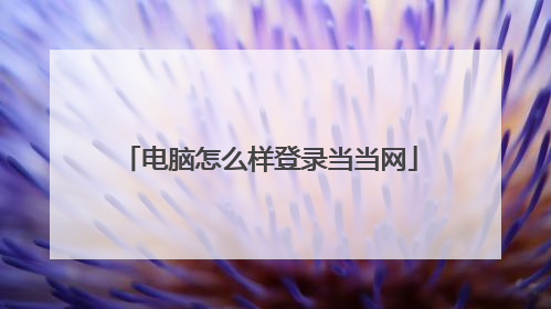 电脑怎么样登录当当网
