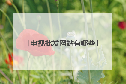 电视批发网站有哪些