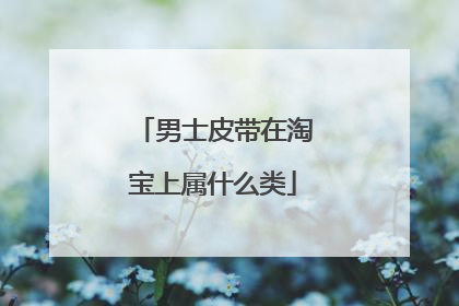 男士皮带在淘宝上属什么类