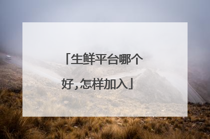生鲜平台哪个好,怎样加入