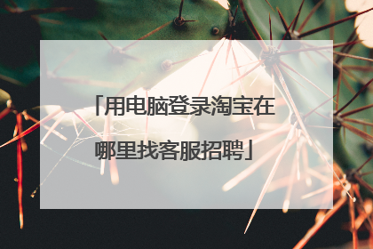 用电脑登录淘宝在哪里找客服招聘