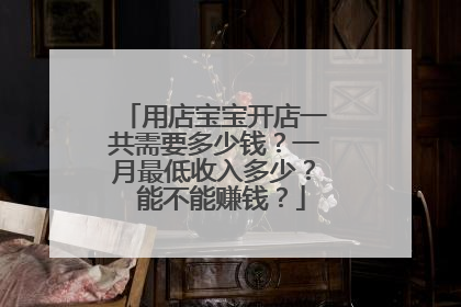用店宝宝开店一共需要多少钱?一月最低收入多少? 能不能赚钱?