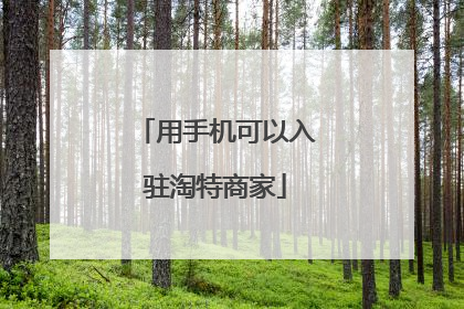 用手机可以入驻淘特商家
