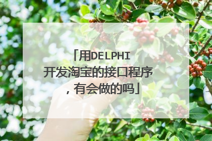 用DELPHI 开发淘宝的接口程序,有会做的吗