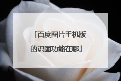 百度图片手机版的识图功能在哪