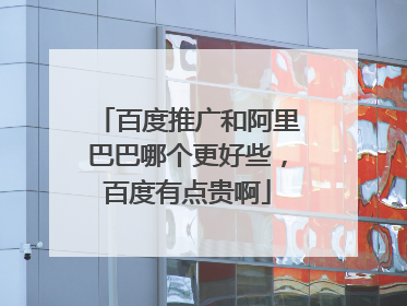 百度推广和阿里巴巴哪个更好些,百度有点贵啊
