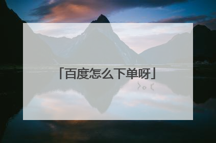 百度怎么下单呀