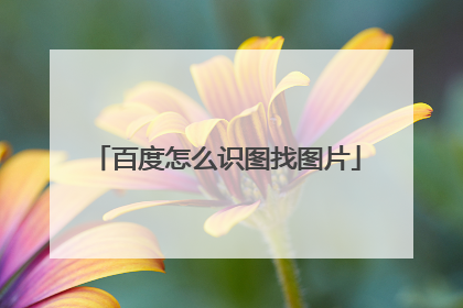 百度怎么识图找图片