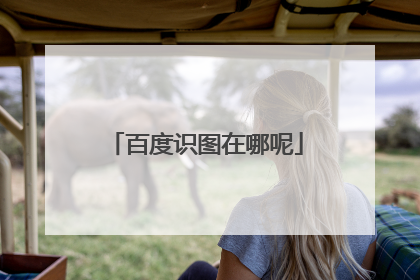 百度识图在哪呢