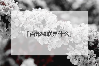 百邦盟联是什么