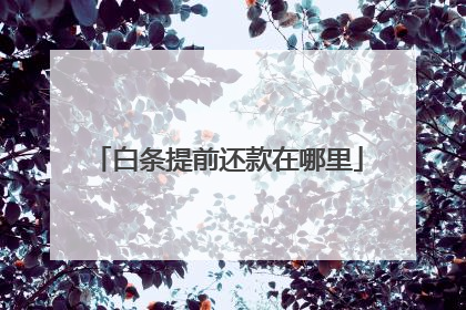 白条提前还款在哪里